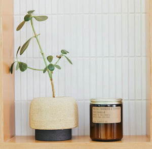 Teakwood + Tobacco Candle from PF Candle Co