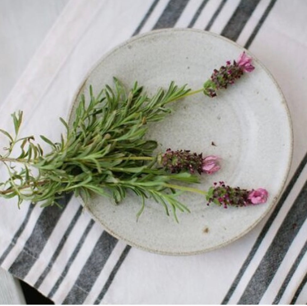 The Daily Ritual Dessert Plate – Ritual Ceramics Studio